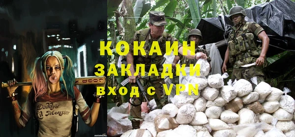 тгк Пересвет