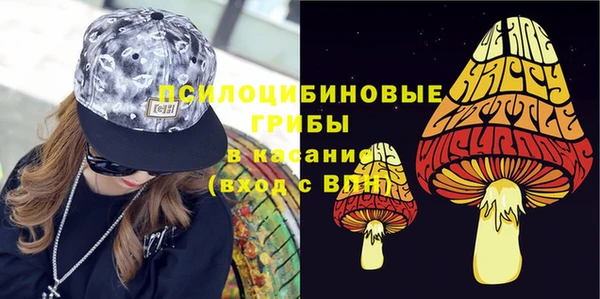 тгк Пересвет